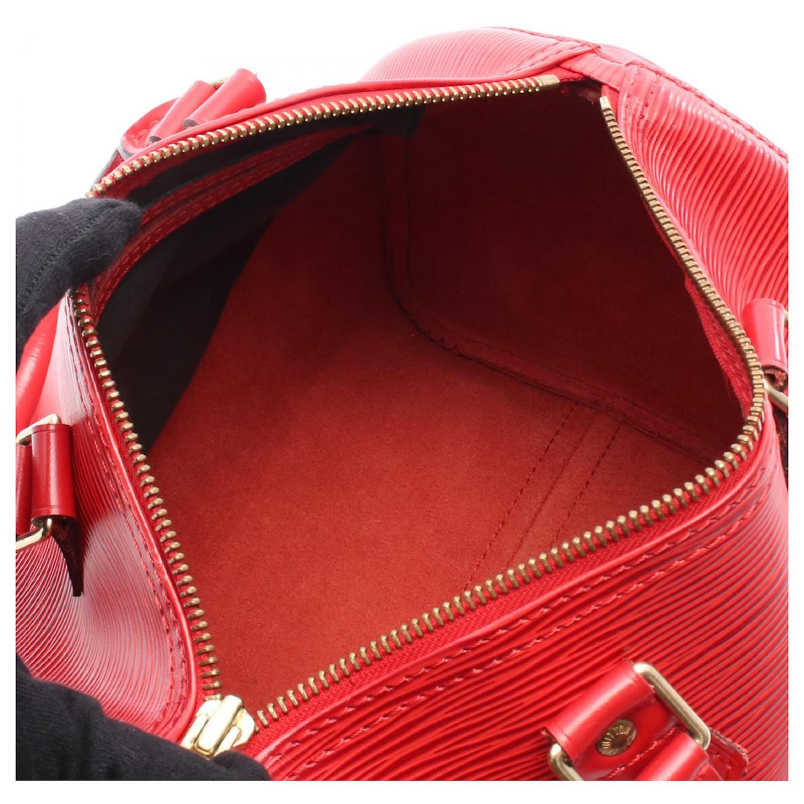 Louis Vuitton Speedy 25 Iconic-Bag