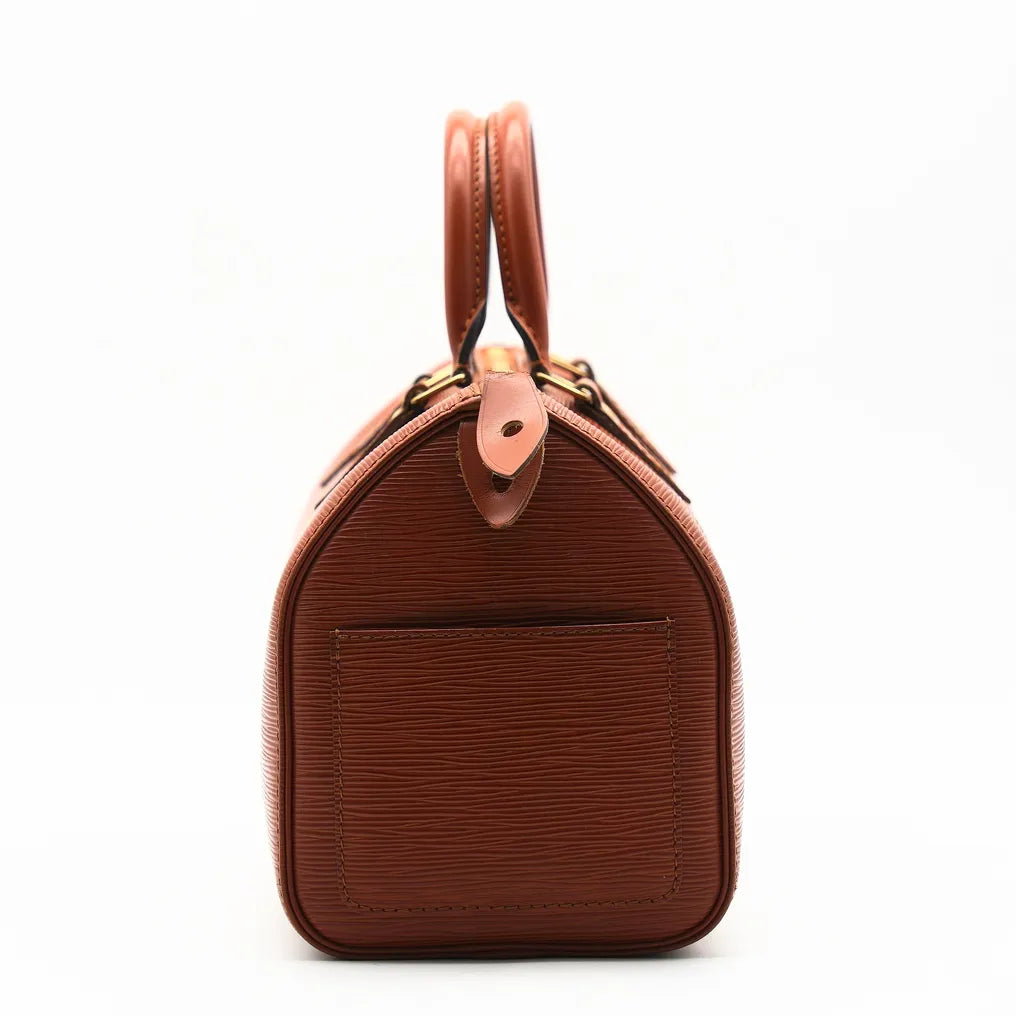 Louis Vuitton Speedy 25 Iconic-Bag
