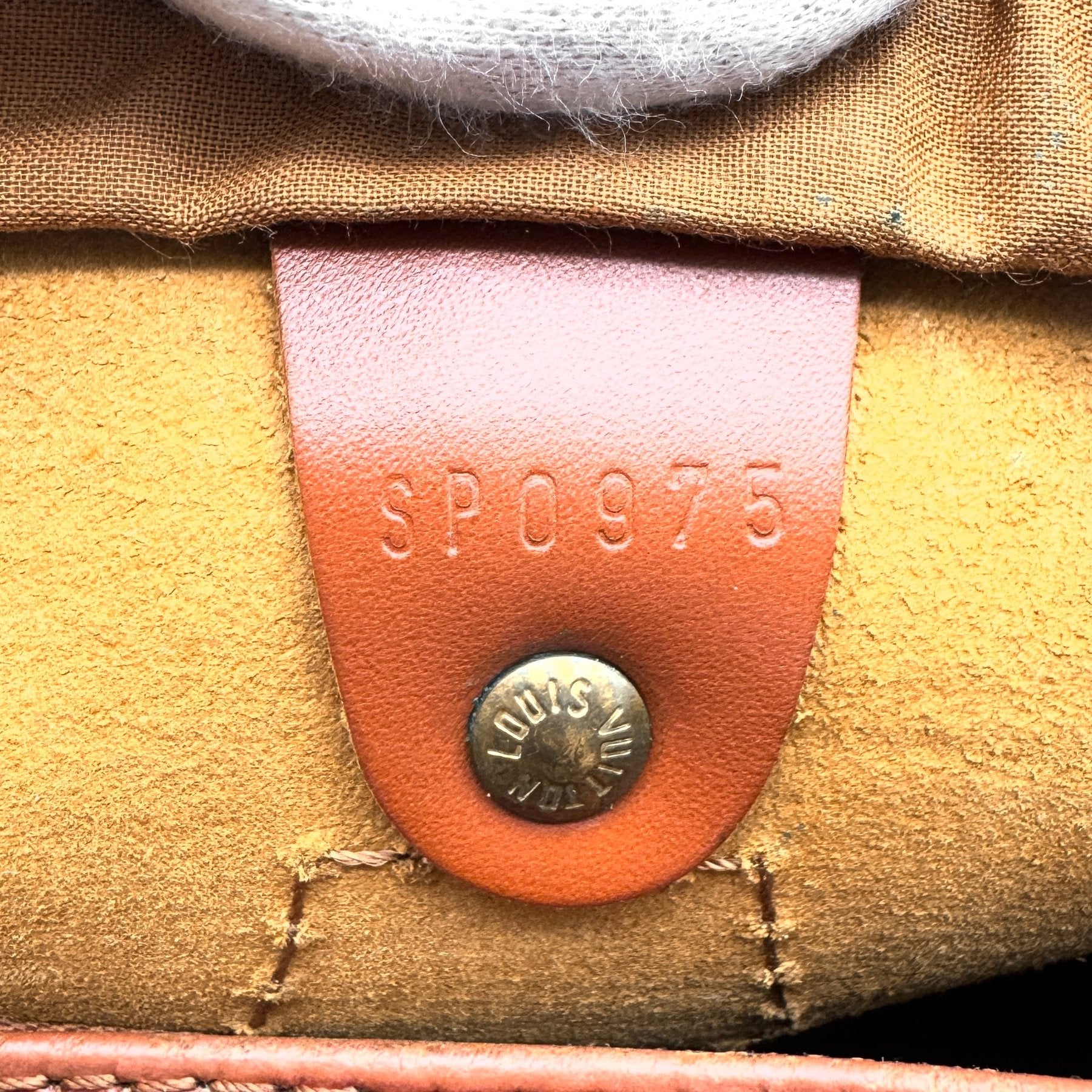 Louis Vuitton Speedy 25 Iconic-Bag