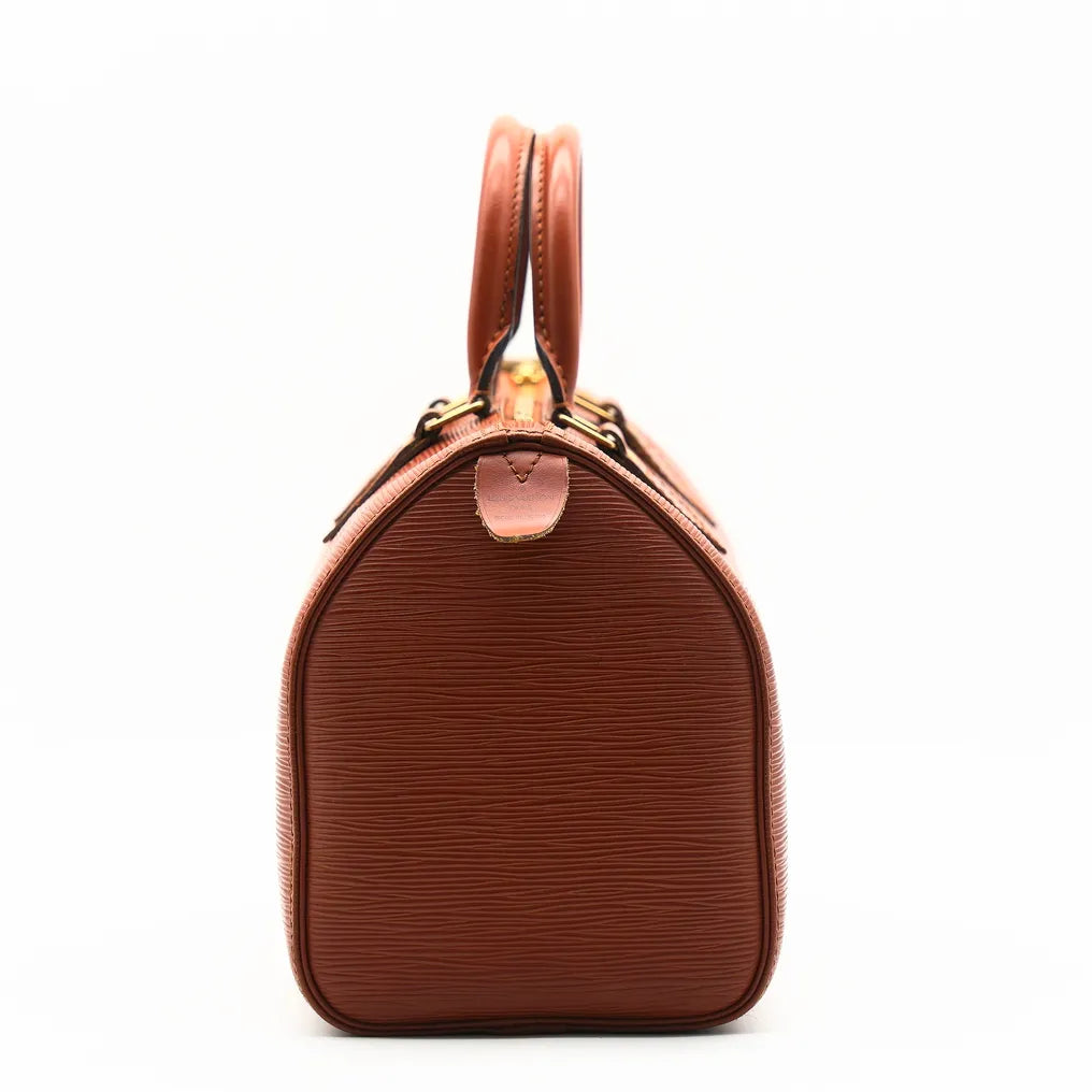 Louis Vuitton Speedy 25 Iconic-Bag
