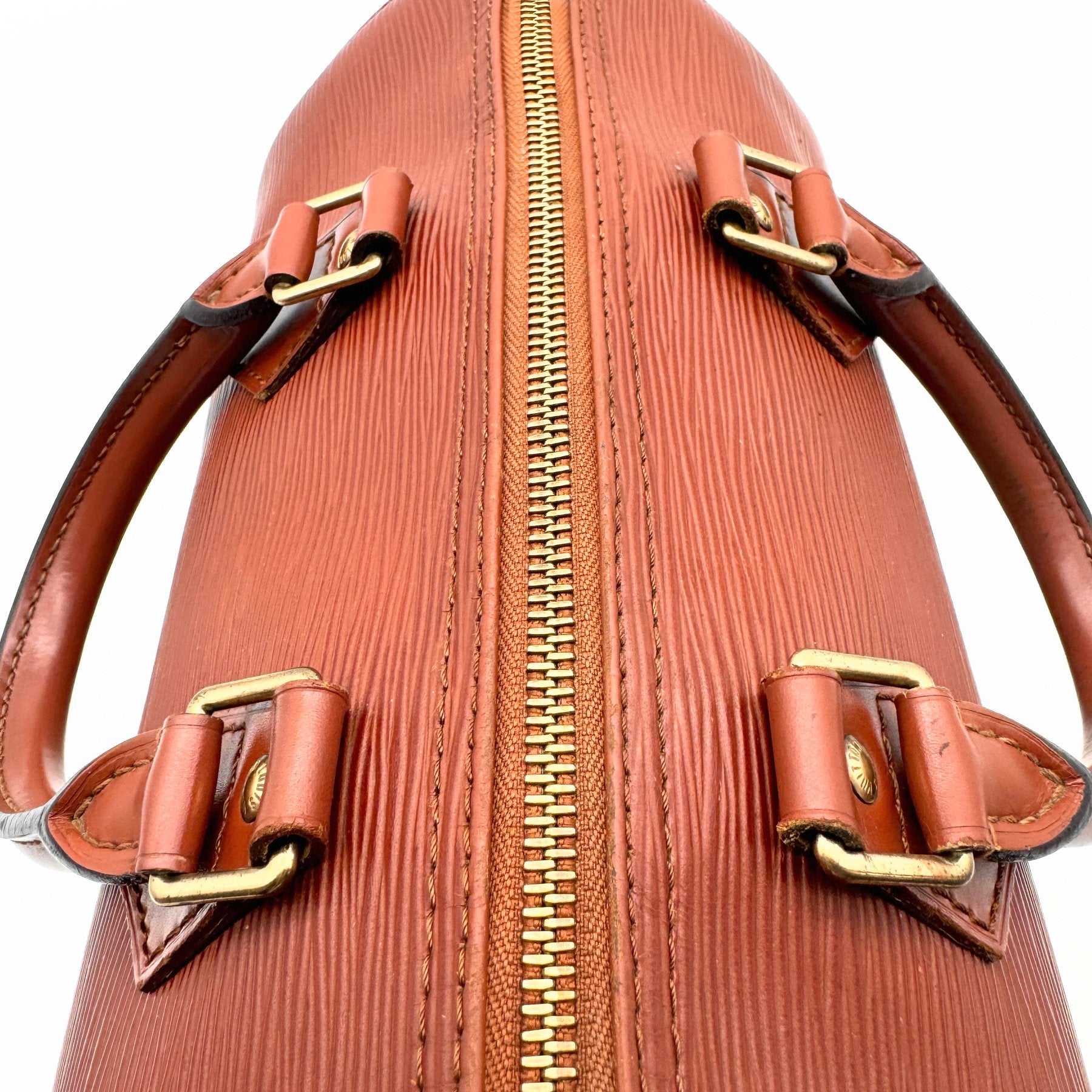 Louis Vuitton Speedy 25 Iconic-Bag