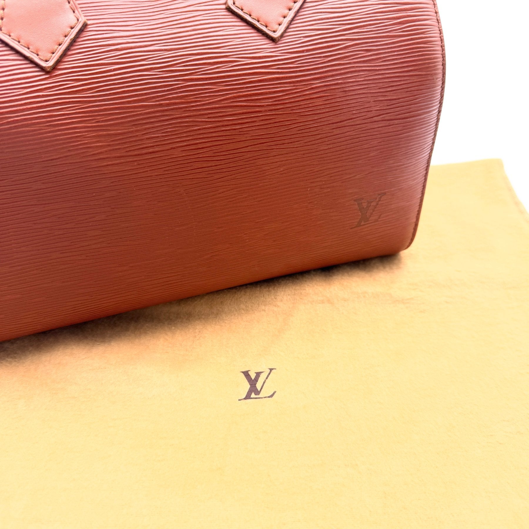 Louis Vuitton Speedy 25 Iconic-Bag