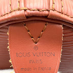 Louis Vuitton Speedy 25 Iconic-Bag