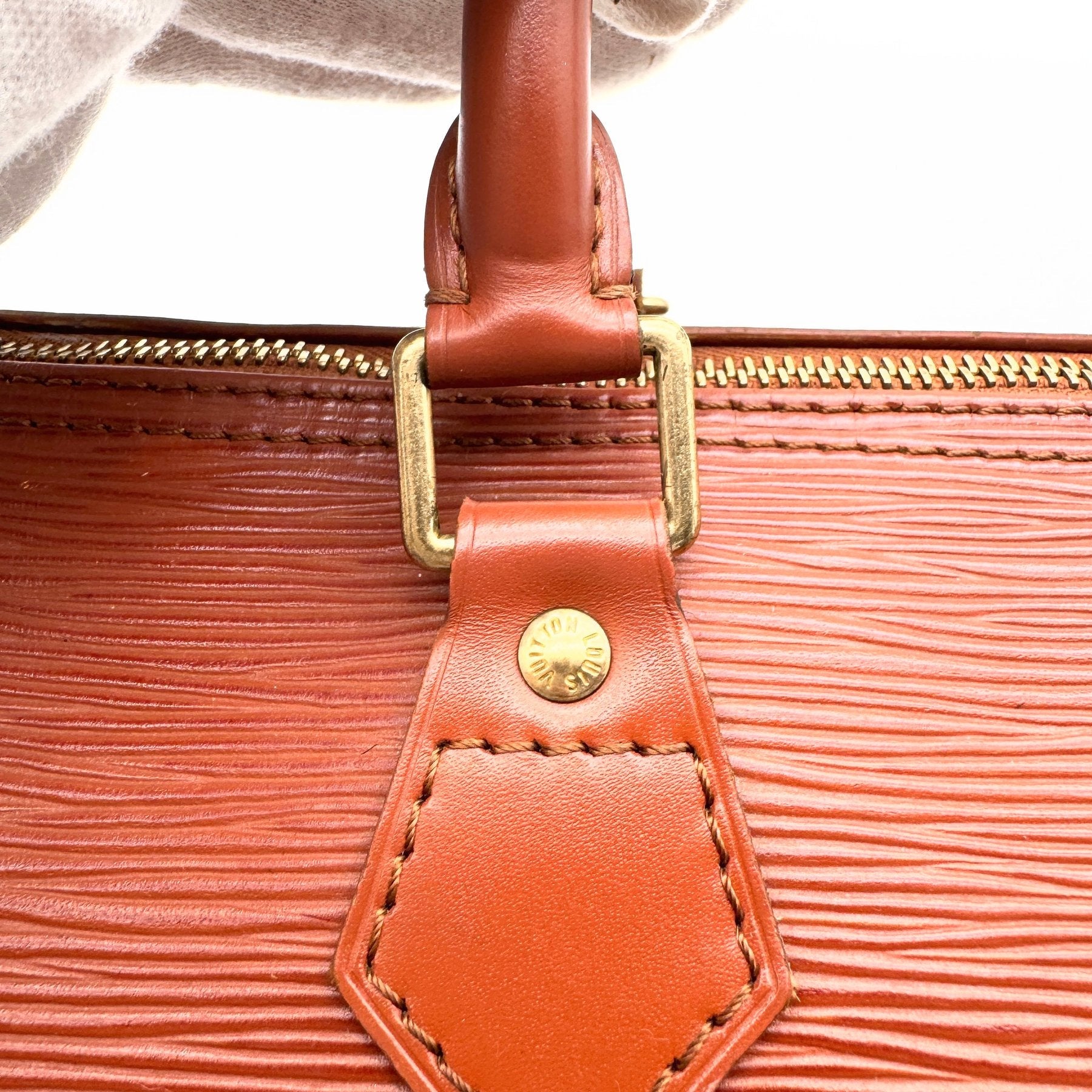 Louis Vuitton Speedy 25 Iconic-Bag