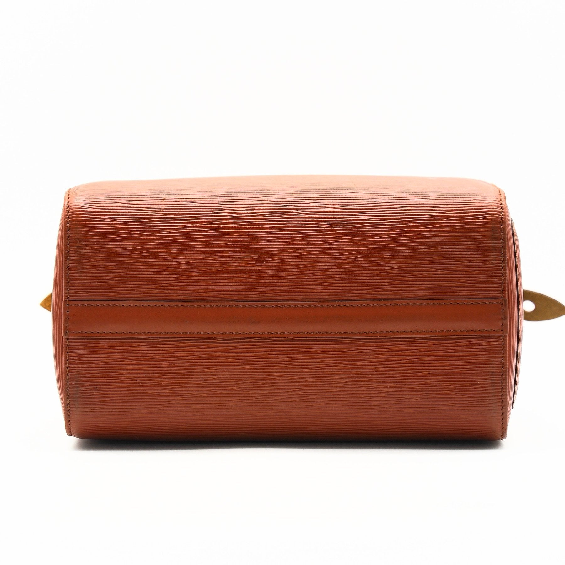 Louis Vuitton Speedy 25 Iconic-Bag