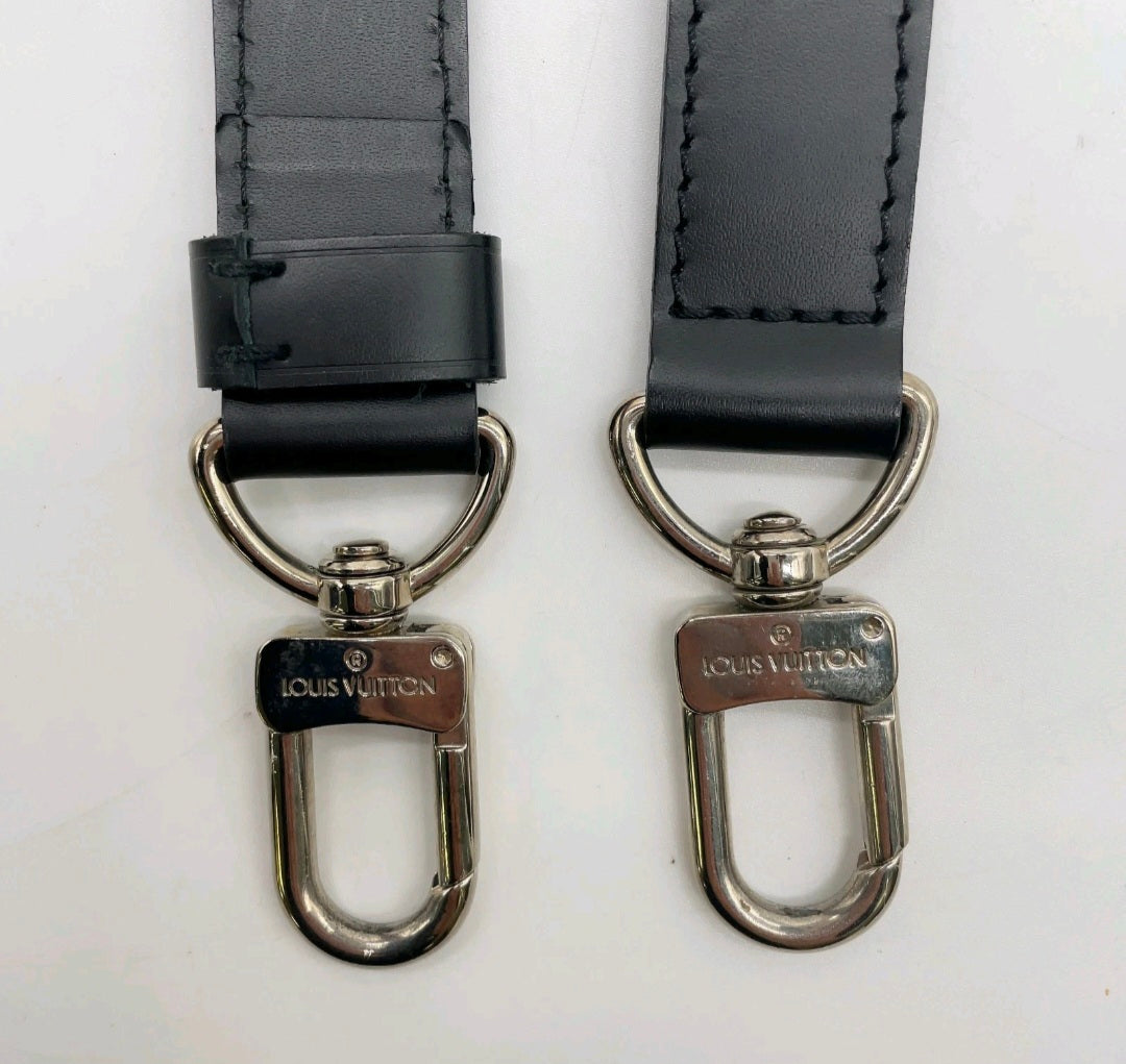 Lv Iconic-Bag